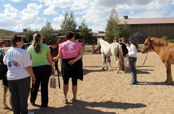 Alejandra Lara - Equine Specialist