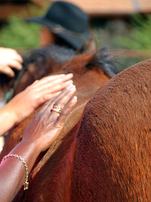 Alejandra Lara - Equine Specialist - Park City, Utah